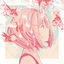 Cover Natsurenbo (feat. Harutya)
