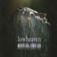 Cover Ritual Decay