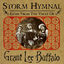 Cover Storm Hymnal: Gems from the Vault of Grant Lee Buffalo
