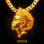 Cover Amina