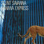 Cover SILENT SAVANNA