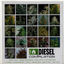 Cover Diesel Compilation: Sickbay Records