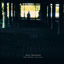 Cover The Night Visitor