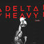 Cover Vandal