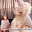 Cover Incredible (feat. Labrinth)
