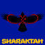 Cover Wir sind X