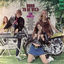 Cover Born To Be Wild