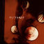 Cover Everything Is Fire