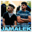 Cover Jamalek (feat. Pierre Youssef)