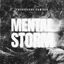 Cover Mental Storm