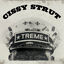 Cover Cissy Strut (Treme Strut)
