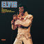 Cover Elvis (Fool)