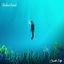 Cover understand
