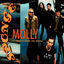 Cover Molly (16 Candles Down the Drain)