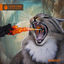 Cover Mouth Music