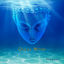 Cover Ocean Within