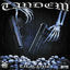 Cover Tandem