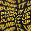 Cover Pump It Up