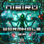 Cover Wormhole