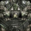 Cover Crux
