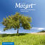 Cover Mozart: La magie, Sonates & Variations pour piano