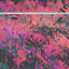 Cover Phoenix (The Remixes)
