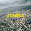 Cover JUNGLE