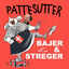 Cover Bajer & Streger