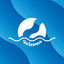 Cover WAVES