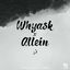 Cover Allein