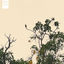 Cover Early Bird