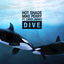 Cover Dive