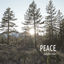 Cover Peace