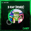 Cover X-RAY (feat. AwesomeElina & Flauschi) [Remix]
