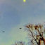 Cover impugn