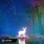 Cover If I Lose Myself