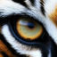 Cover Tiger im Park