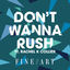 Cover Don't Wanna Rush (feat. Rachel K Collier)