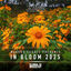 Cover In Bloom 2025 (Vocal Dance Mix)