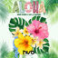 Cover ALOHA
