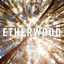 Cover Etherwood