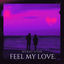 Cover Feel My Love