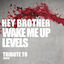 Cover Hey Brother, Wake Me Up, Levels: Tribute to Avicii