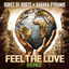 Cover Feel the Love (Remix)