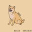 Cover Shiba