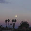 Cover Daylight