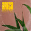 Cover Areca