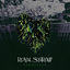 Cover Evergreen
