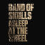 Cover Asleep at the Wheel