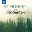 Cover Schubert For Meditation